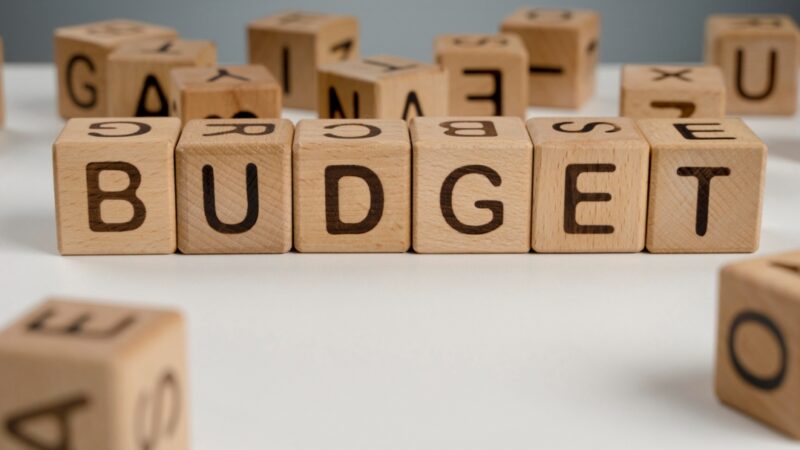 W Konińskim Budżecie Obywatelskim na edycję 2025 do głosowania trafią 53 projekty